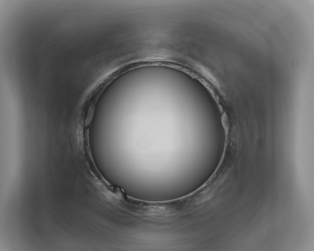 X0000112491456200908170941