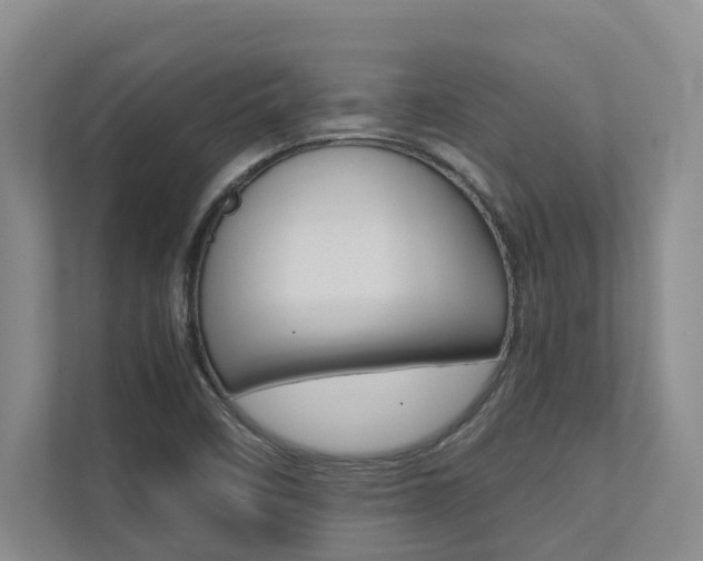 X0000112491458200908170941