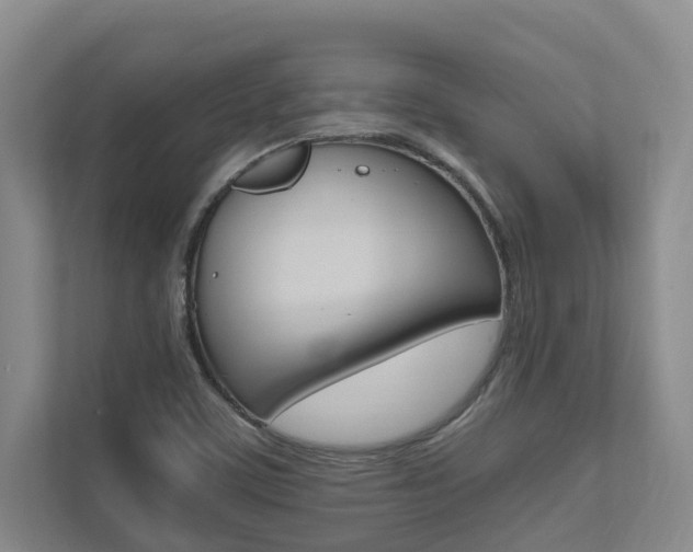 X0000112491459200908170941