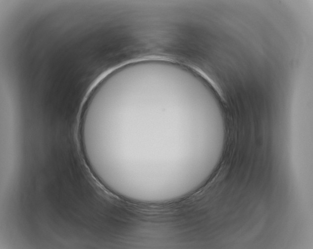 X0000112491460200908170941