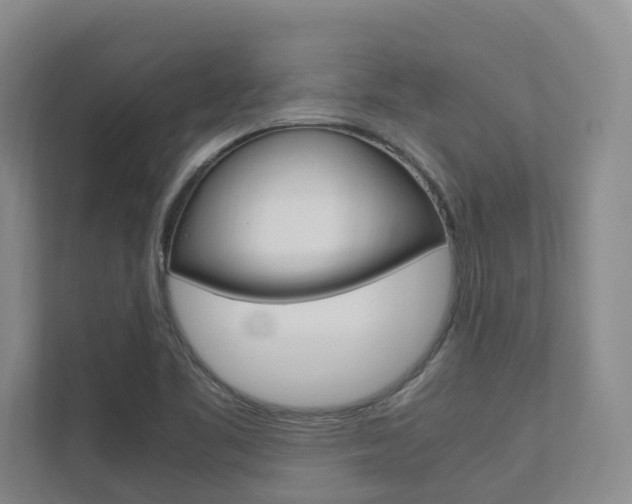 X0000112491461200908170941