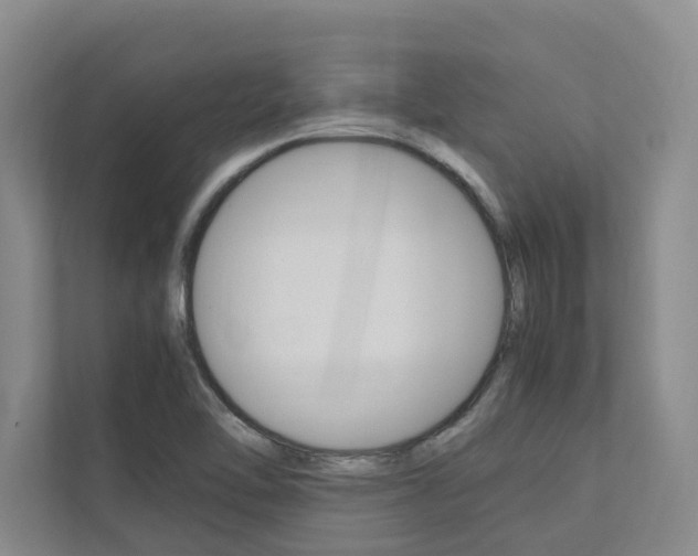 X0000112491462200908170941