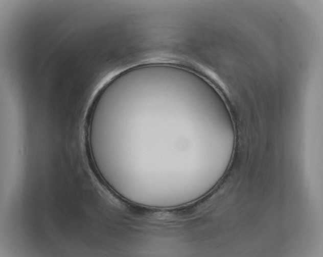 X0000112491463200908170941