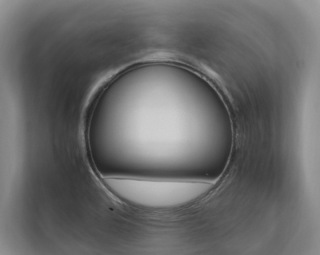 X0000112491464200908170941