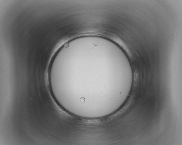 X0000112491466200908170941