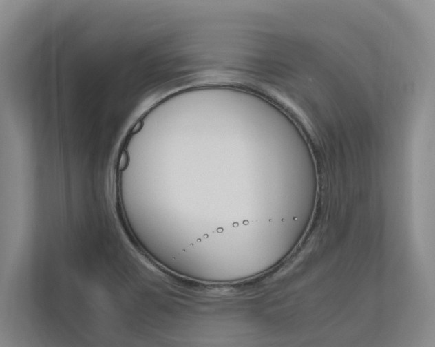 X0000112491467200908170941