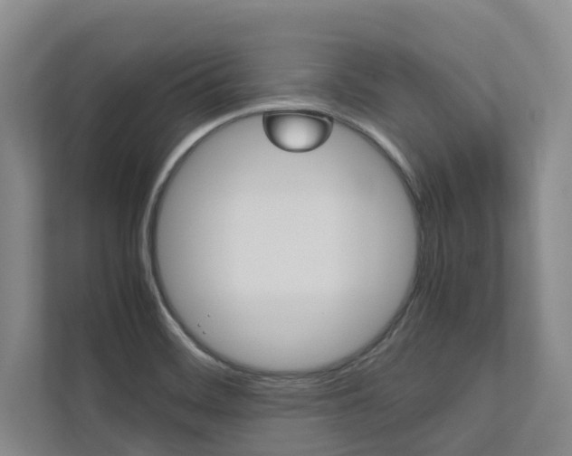X0000112491468200908170941