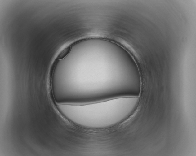 X0000112491469200908170941