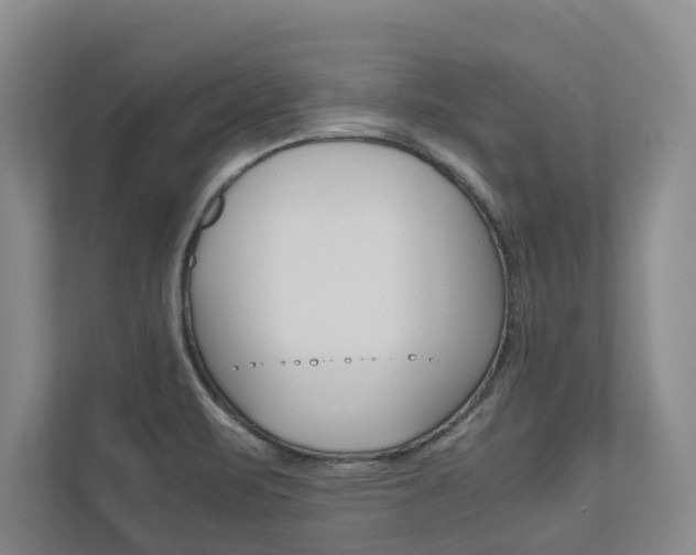 X0000112491471200908170941