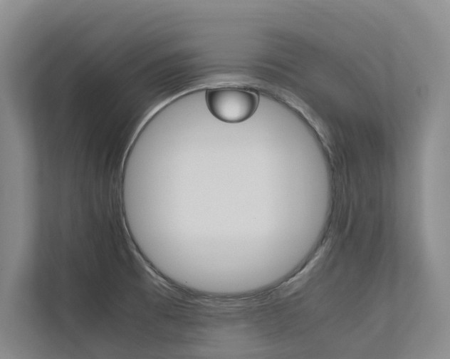 X0000112491473200908170941