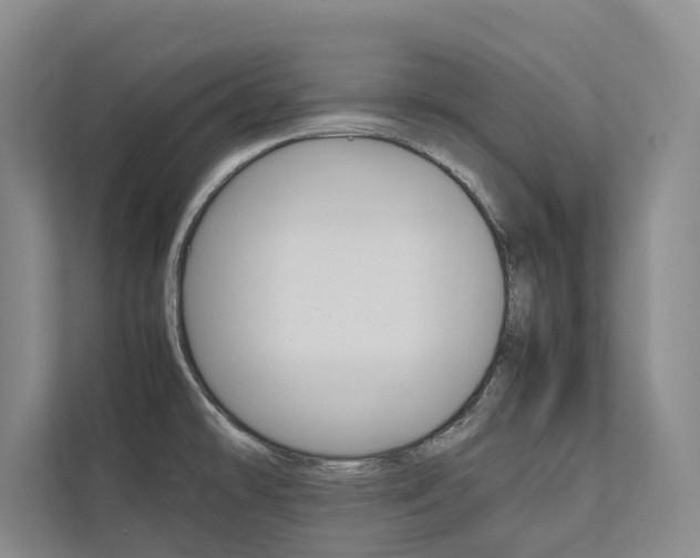 X0000112491478200908170941