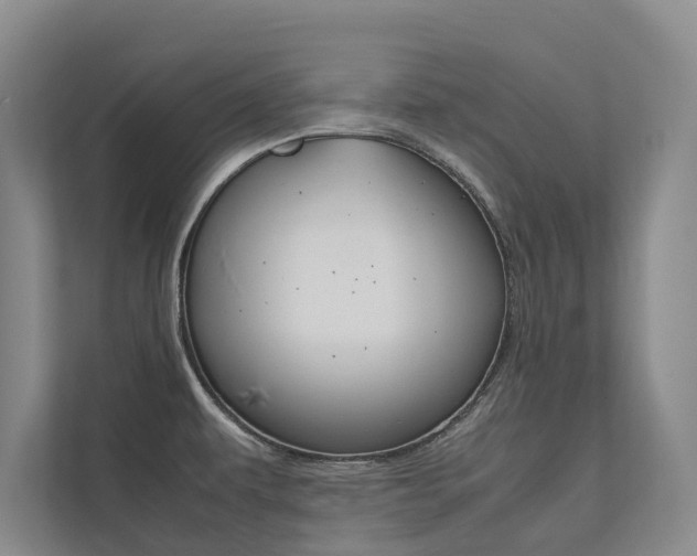 X0000112491479200908170941