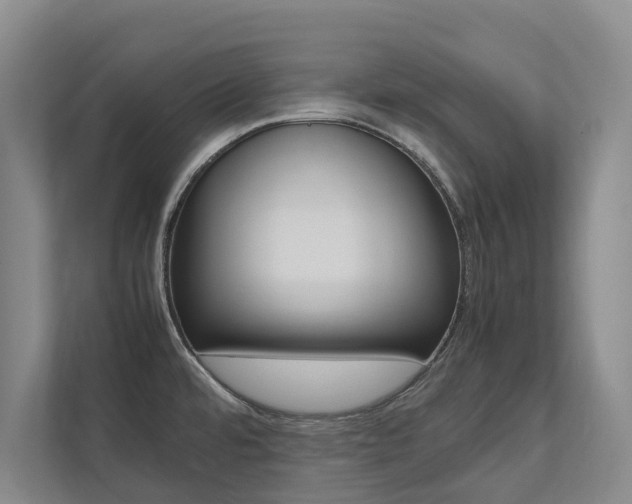 X0000112491480200908170941