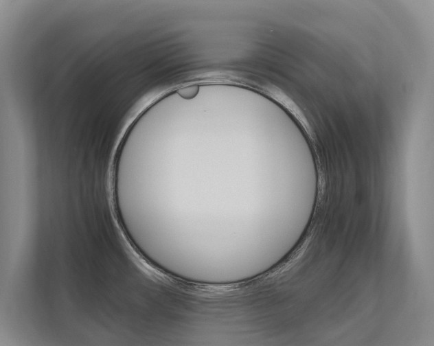 X0000112491482200908170941