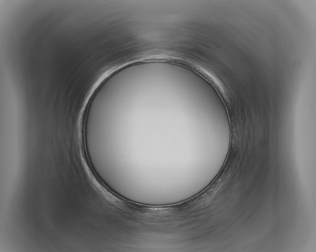 X0000112491483200908170941