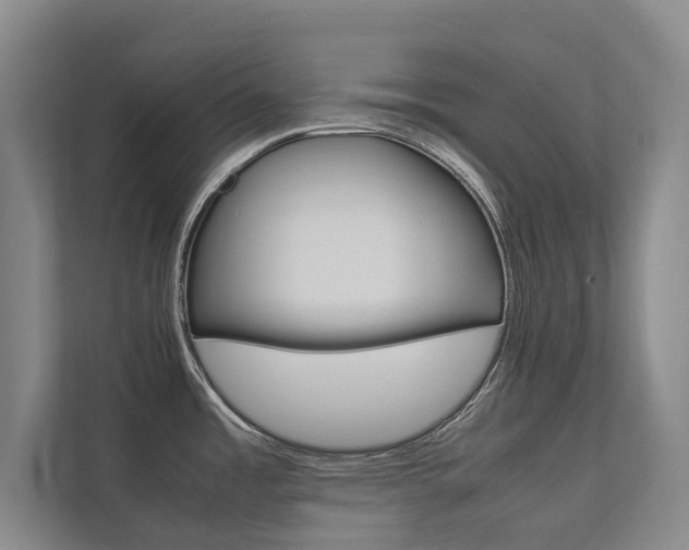 X0000112491485200908170941