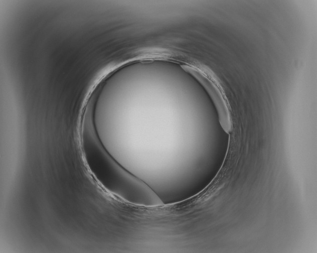 X0000112491488200908170941
