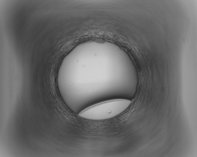 X0000112491489200908170940