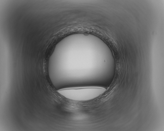 X0000112491490200908170940
