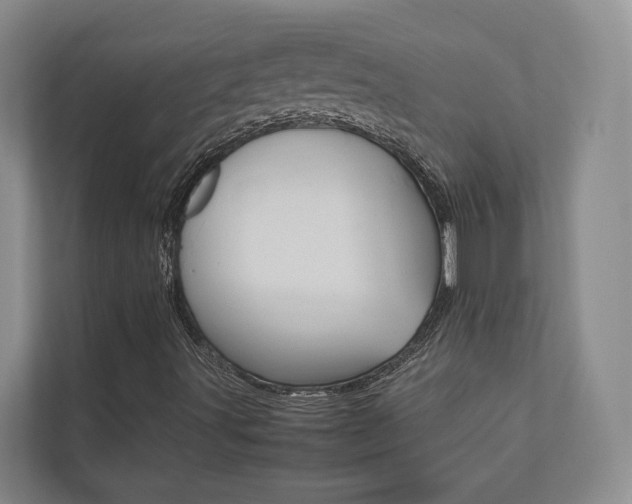 X0000112491491200908170940