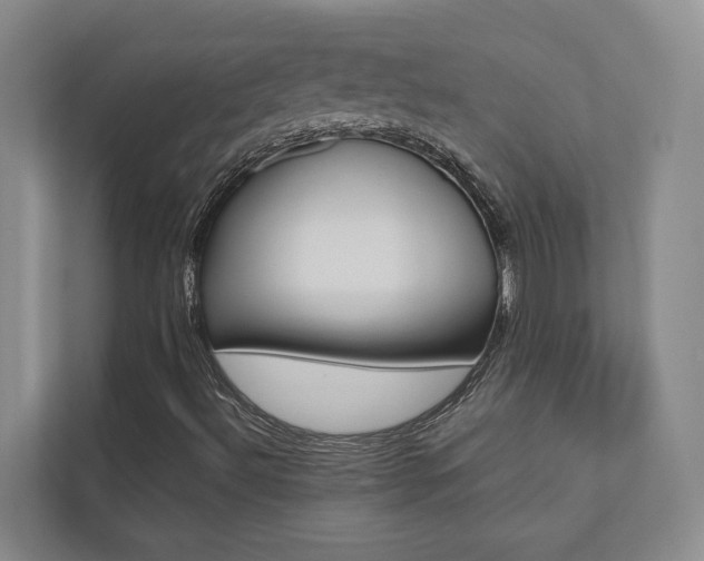X0000112491492200908170940
