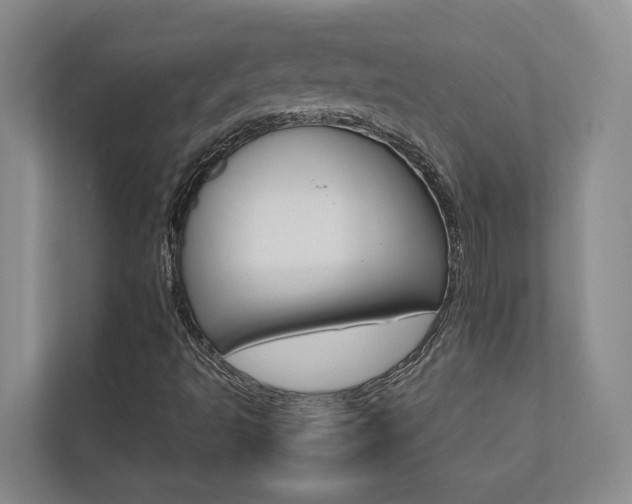 X0000112491493200908170940