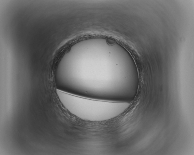 X0000112491494200908170940