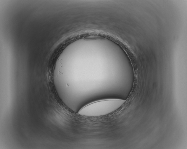 X0000112491495200908170940