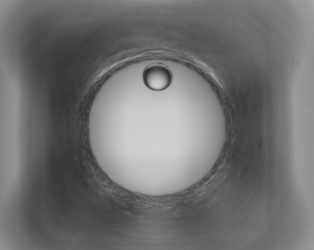 X0000112491496200908170940
