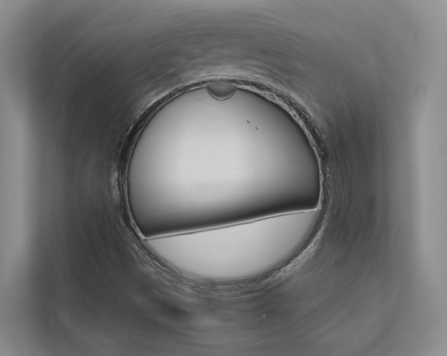 X0000112491497200908170940