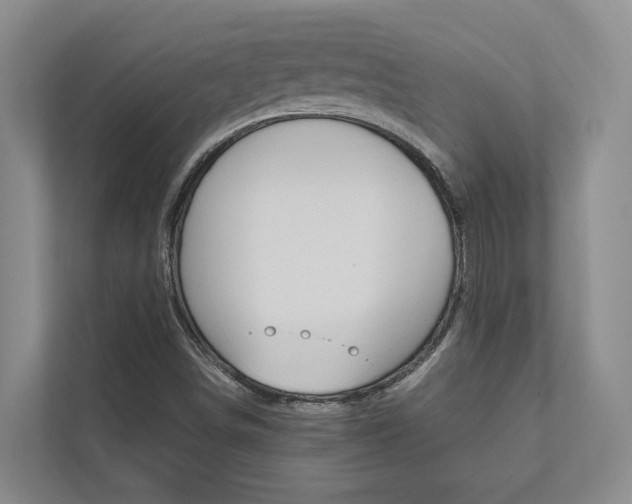 X0000112491498200908170940