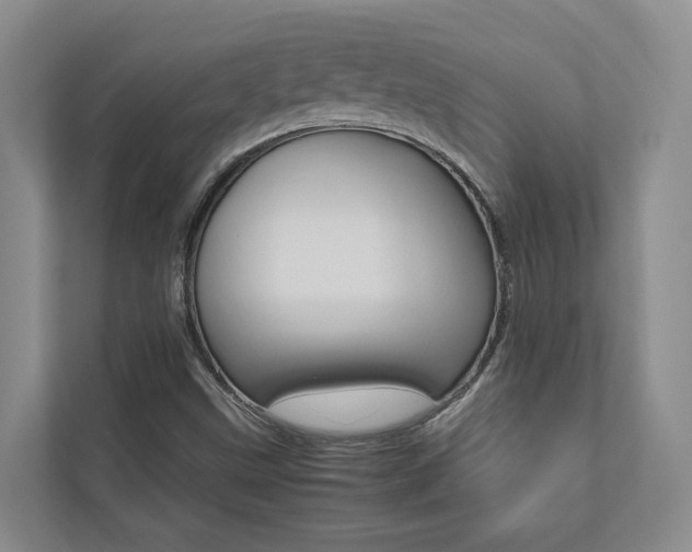 X0000112491499200908170940