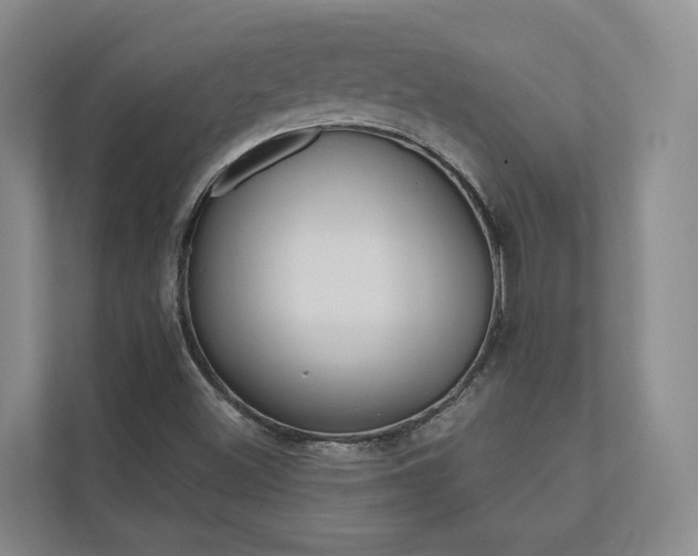 X0000112491500200908170940