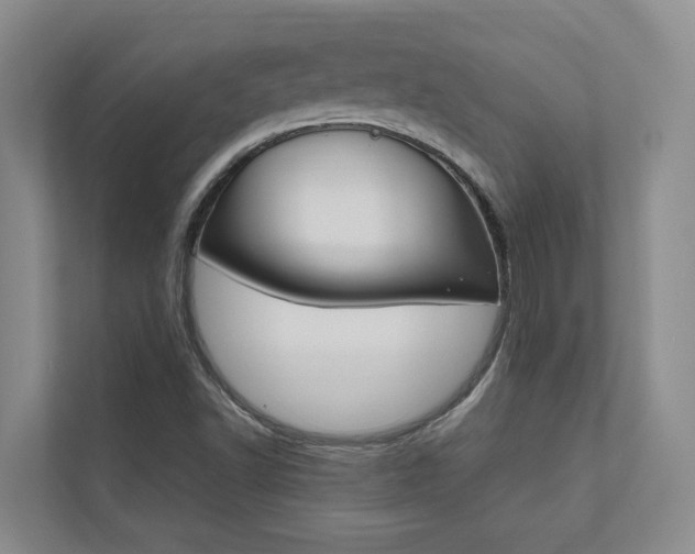 X0000112491502200908170940