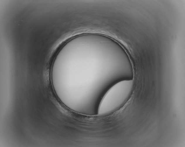 X0000112491503200908170940