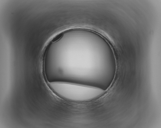 X0000112491504200908170940