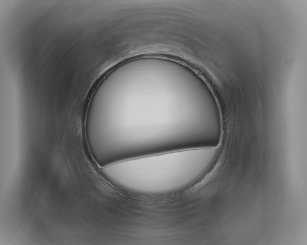 X0000112491505200908170940