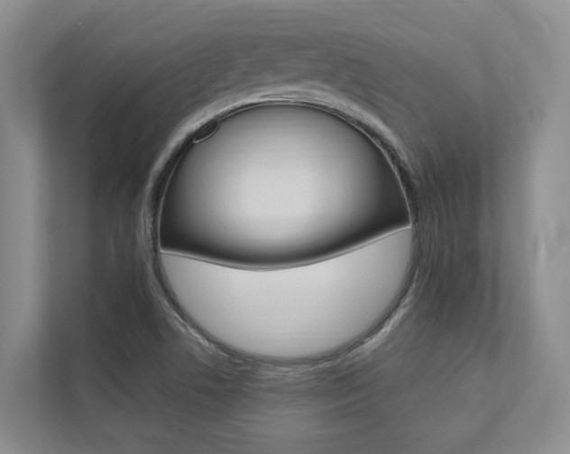 X0000112491506200908170940