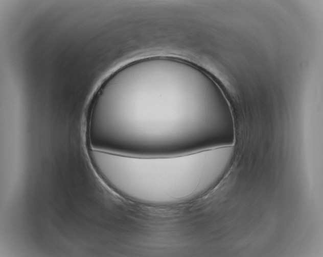 X0000112491508200908170941