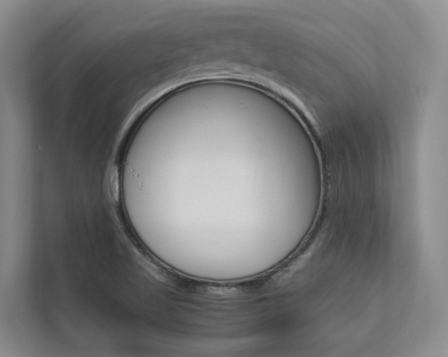 X0000112491509200908170941