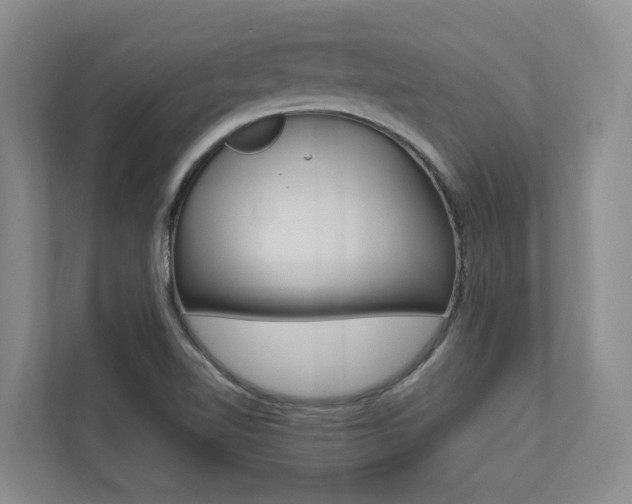 X0000112491510200908170941