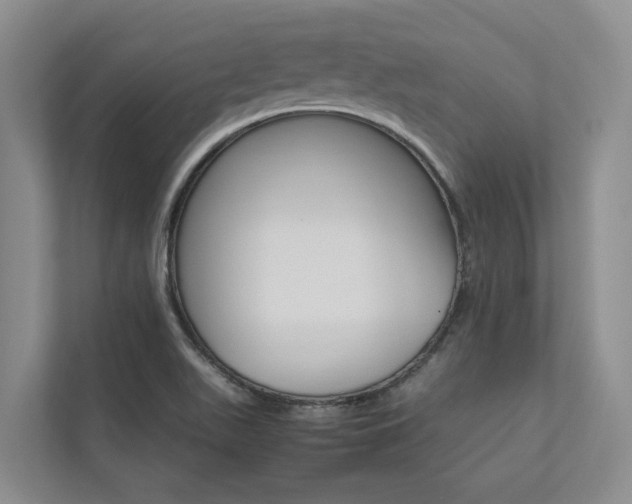 X0000112491511200908170941