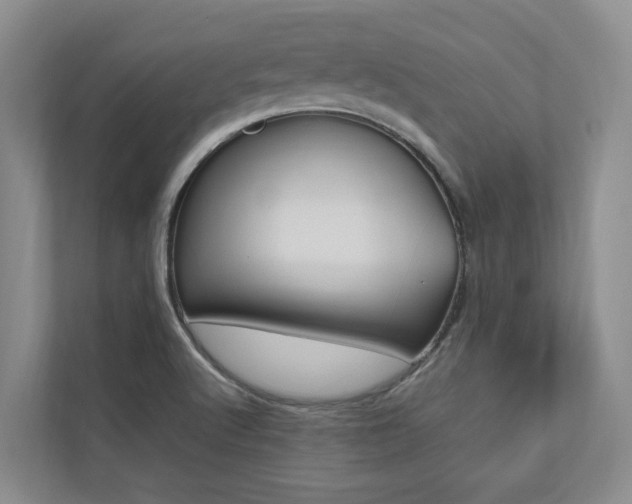 X0000112491512200908170941
