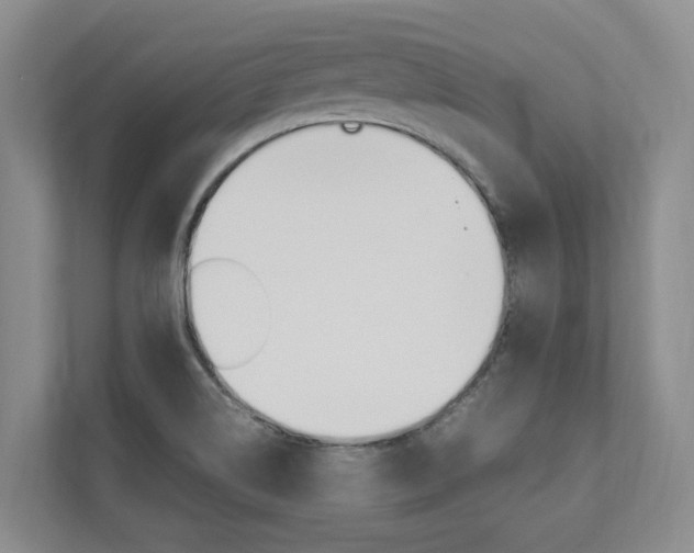 X0000112491514200908170941