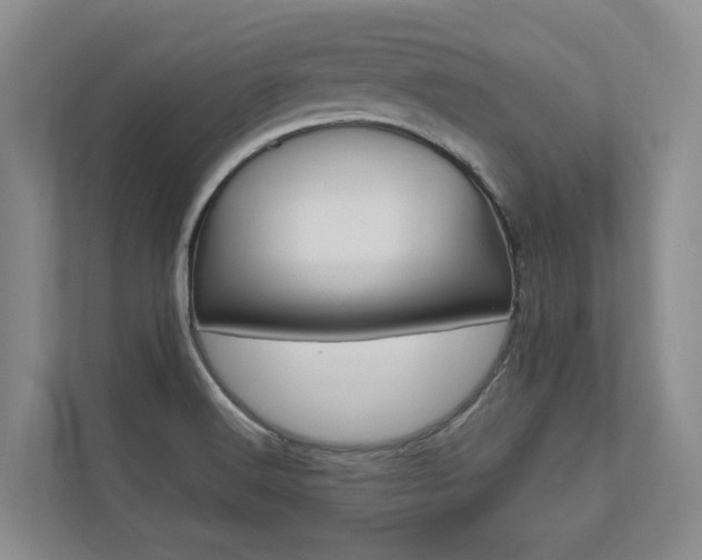 X0000112491516200908170941