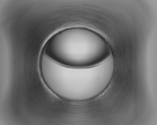 X0000112491518200908170941