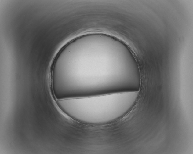 X0000112491519200908170941