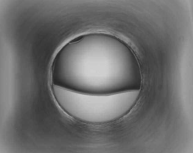 X0000112491520200908170941