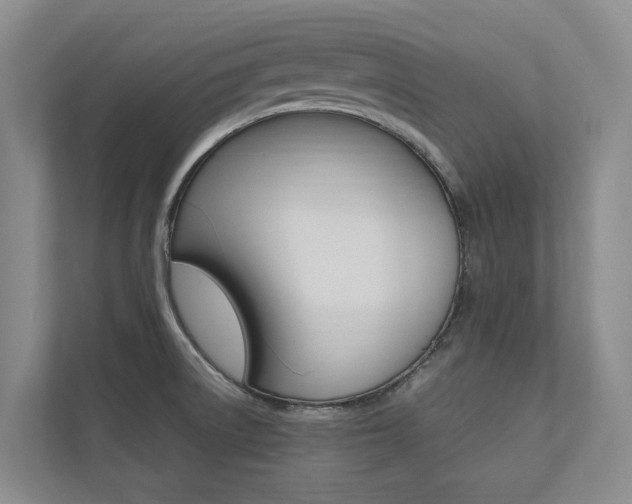X0000112491522200908170941