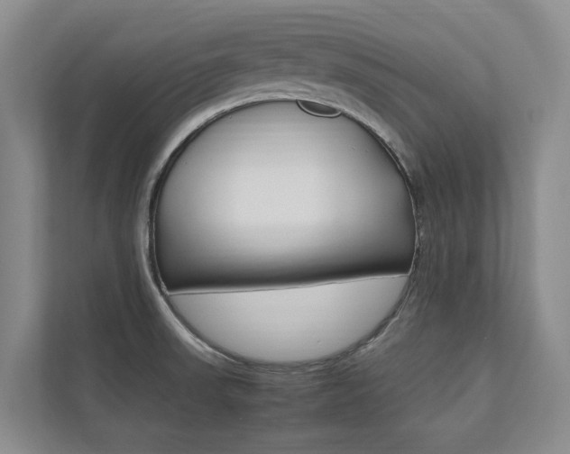 X0000112491523200908170941